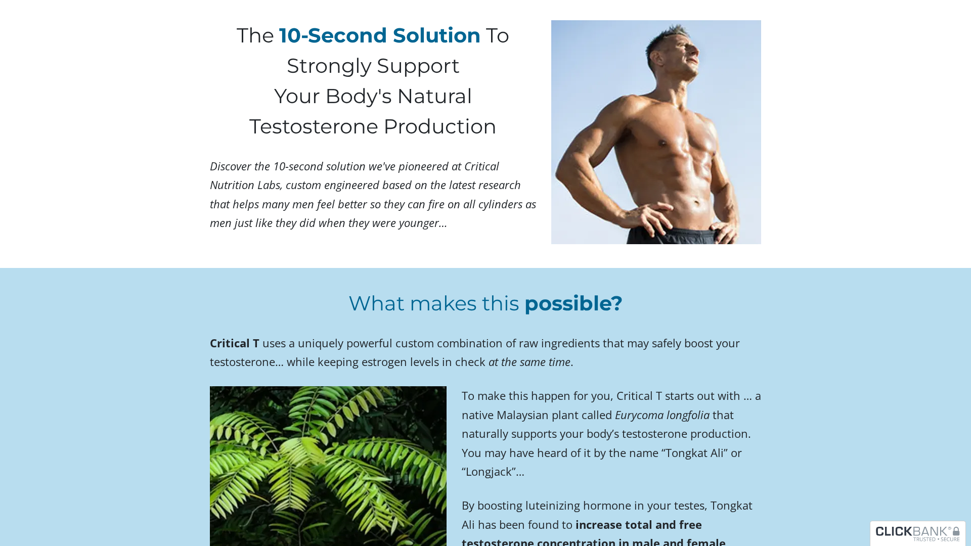 Critical T review hero — hearing supplement visual