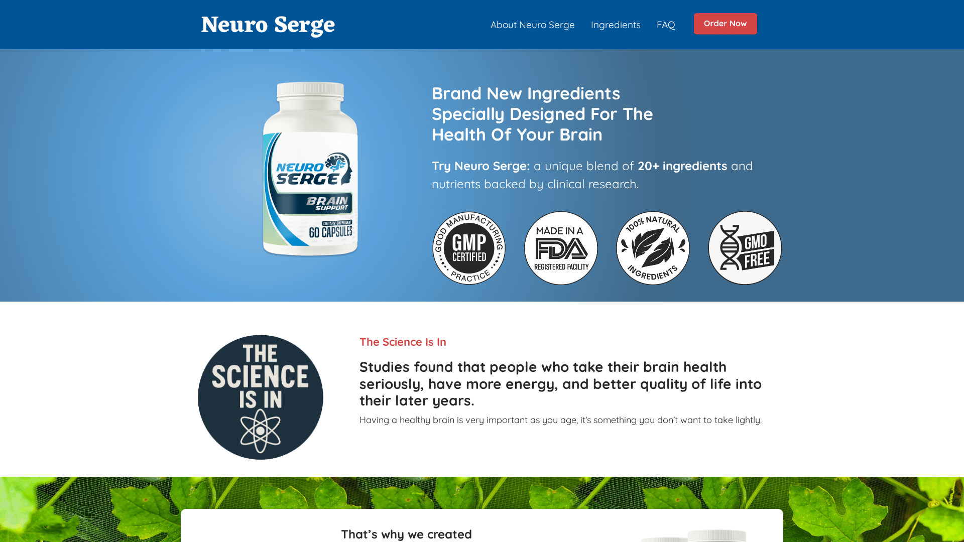 Neuro Serge review hero — brain supplement visual