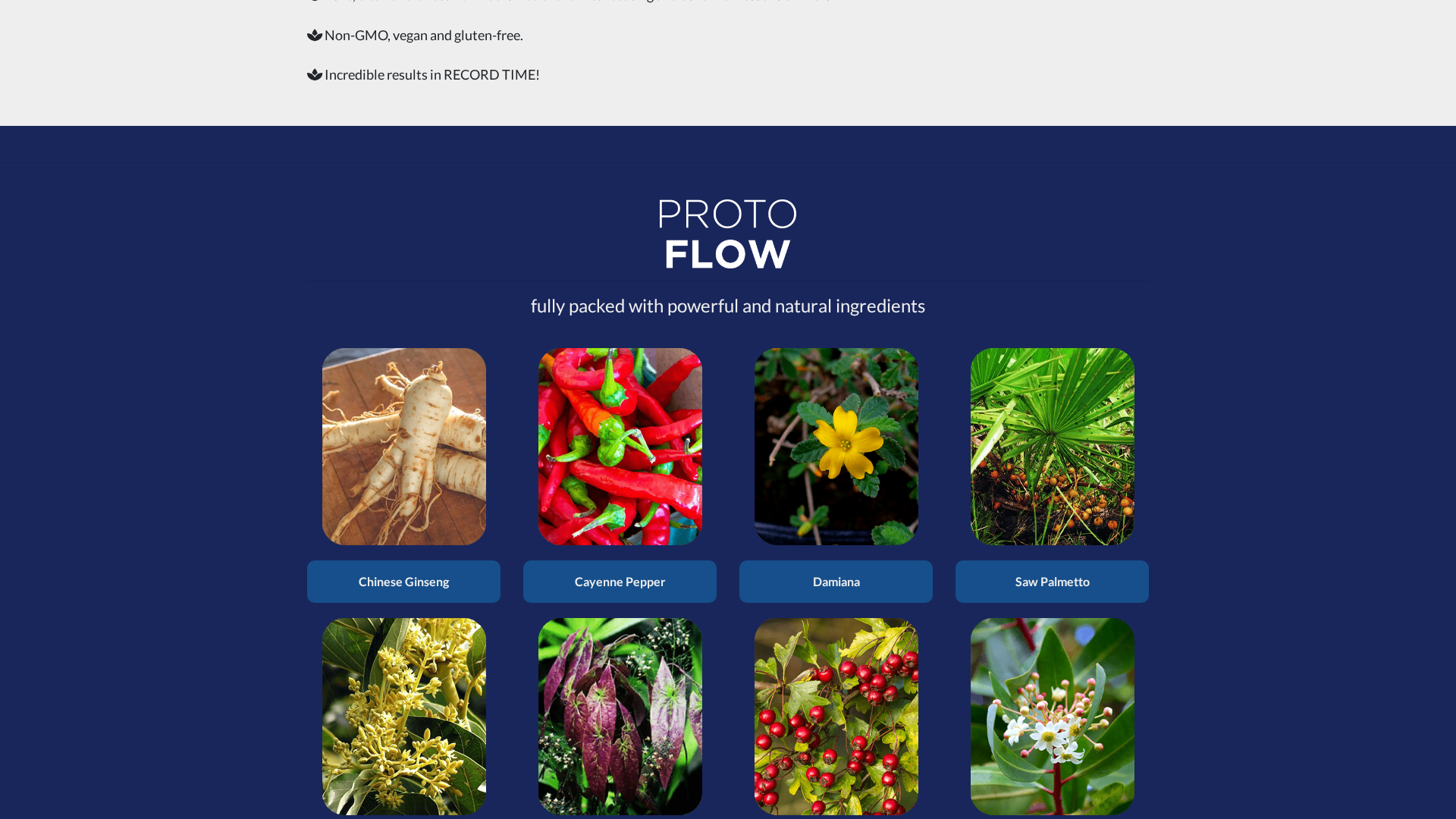How Protoflow Works The Ingredient Breakdown